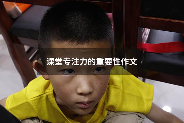 课堂专注力的重要性作文446