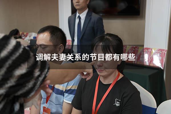 调解夫妻关系的节目都有哪些