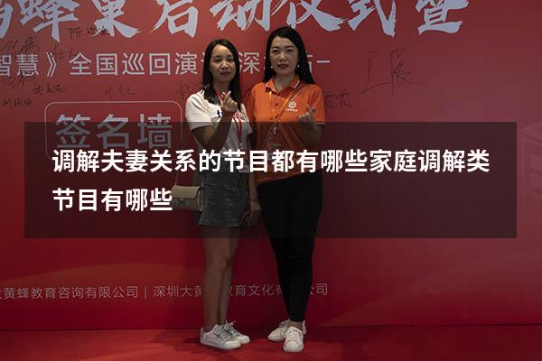 调解夫妻关系的节目都有哪些（家庭调解类节目有哪些）