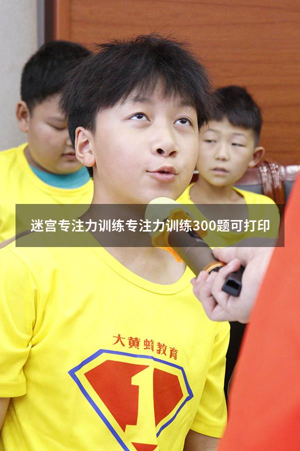 迷宫专注力训练（专注力训练300题可打印）