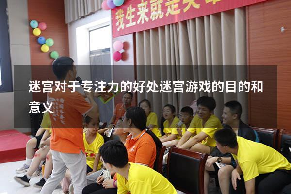迷宫对于专注力的好处（迷宫游戏的目的和意义）