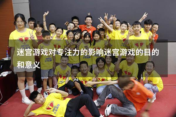 迷宫游戏对专注力的影响（迷宫游戏的目的和意义）