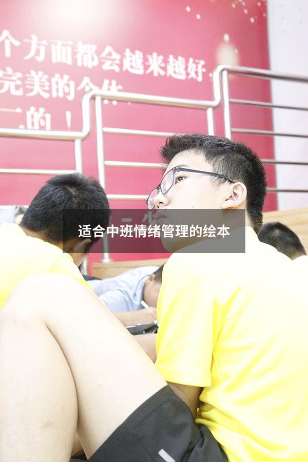 适合中班情绪管理的绘本