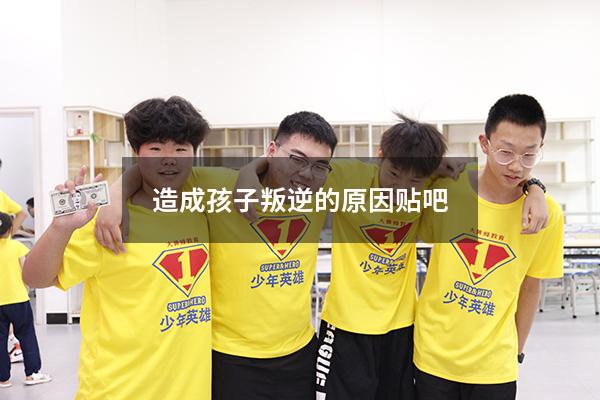 造成孩子叛逆的原因贴吧