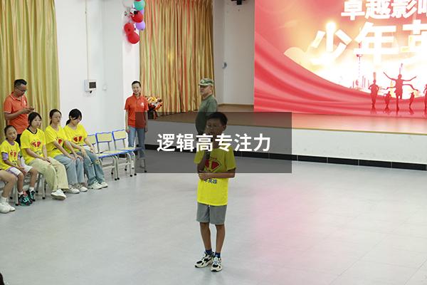 逻辑高专注力