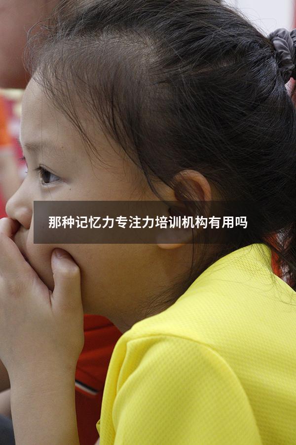 那种记忆力专注力培训机构有用吗