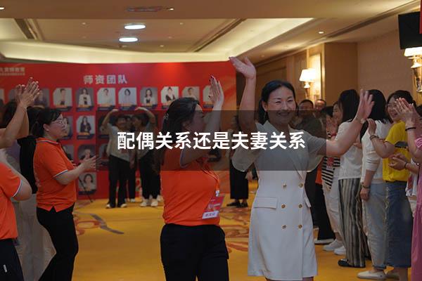 配偶关系还是夫妻关系