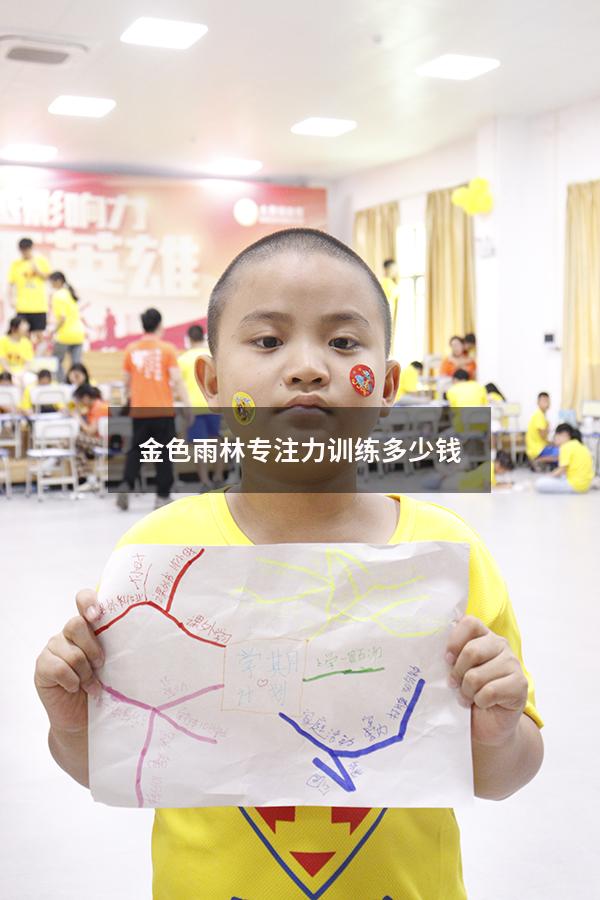 金色雨林专注力训练多少钱