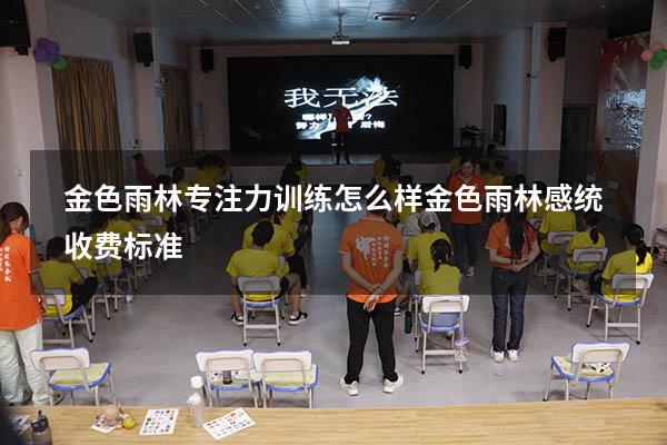金色雨林专注力训练怎么样（金色雨林感统收费标准）
