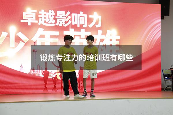 锻炼专注力的培训班有哪些