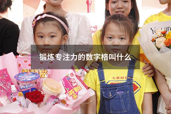 锻炼专注力的数字格叫什么