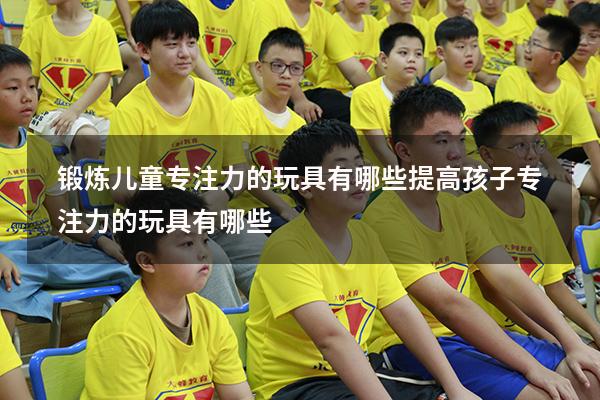 锻炼儿童专注力的玩具有哪些（提高孩子专注力的玩具有哪些）