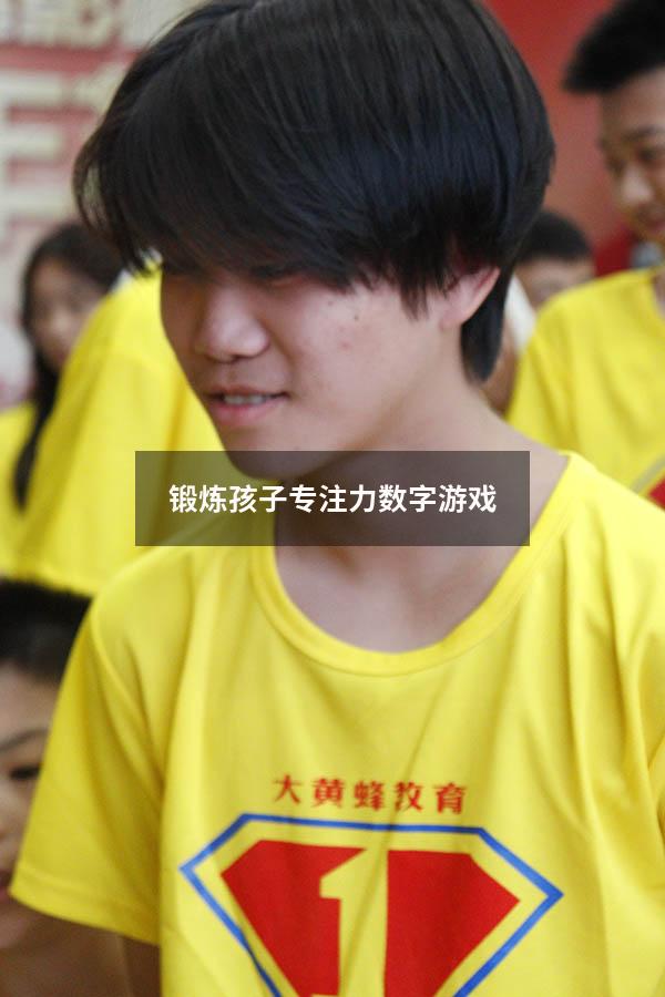 锻炼孩子专注力数字游戏