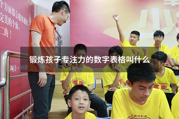 锻炼孩子专注力的数字表格叫什么