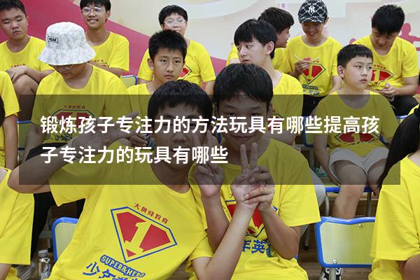 锻炼孩子专注力的方法玩具有哪些（提高孩子专注力的玩具有哪些）