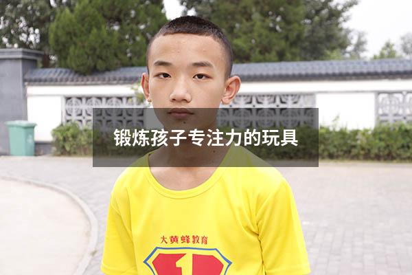 锻炼孩子专注力的玩具