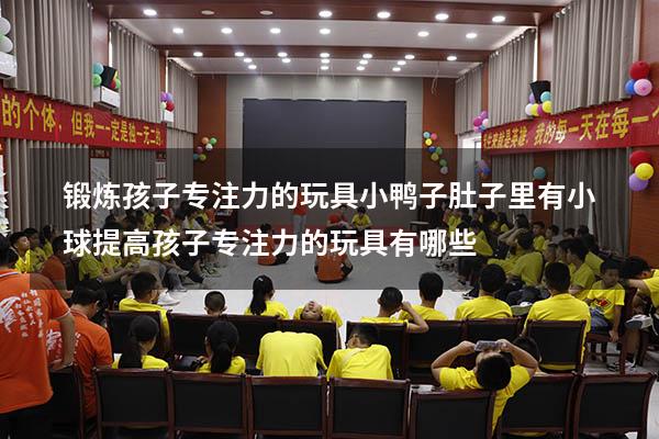 锻炼孩子专注力的玩具小鸭子肚子里有小球（提高孩子专注力的玩具有哪些）