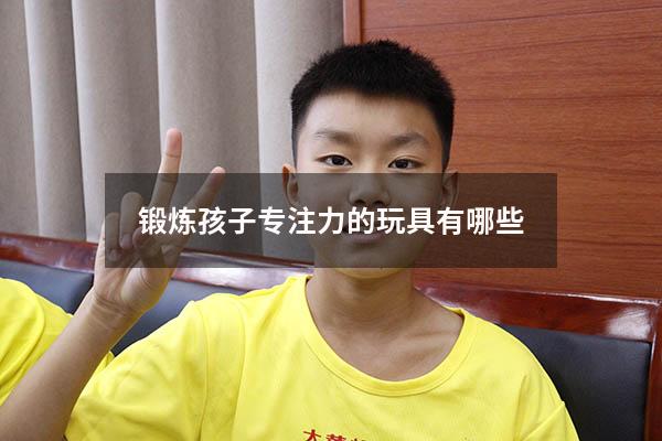 锻炼孩子专注力的玩具有哪些