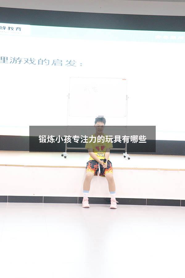 锻炼小孩专注力的玩具有哪些