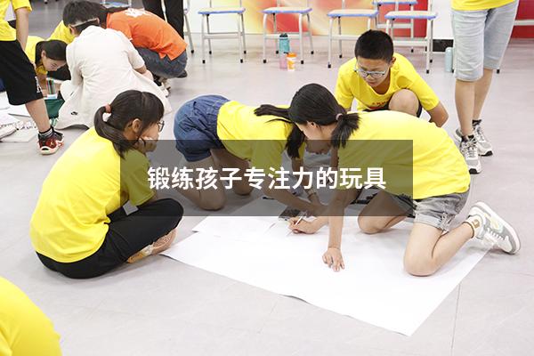 锻练孩子专注力的玩具