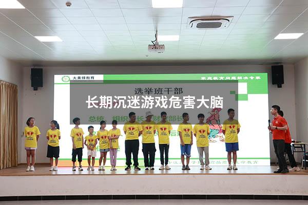 长期沉迷游戏危害大脑