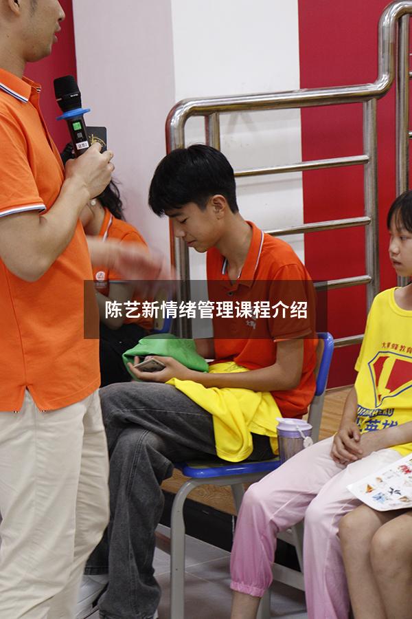 陈艺新情绪管理课程介绍