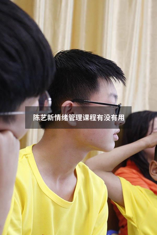 陈艺新情绪管理课程有没有用