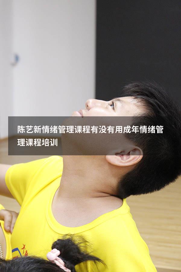陈艺新情绪管理课程有没有用（成年情绪管理课程培训）