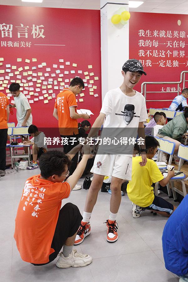 陪养孩子专注力的心得体会
