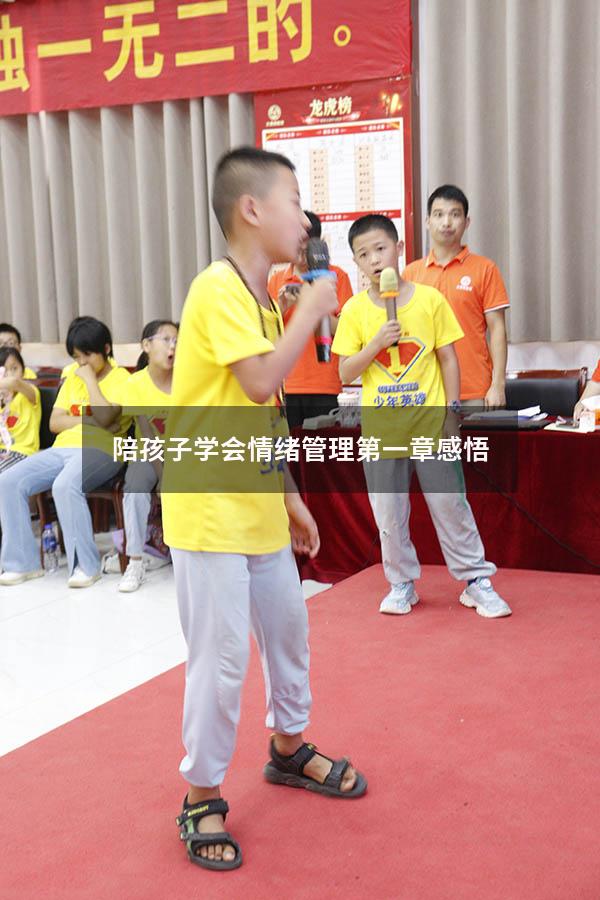 陪孩子学会情绪管理第一章感悟