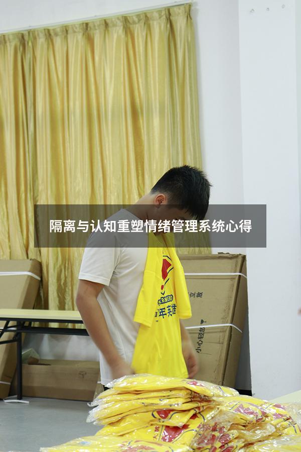 隔离与认知重塑情绪管理系统心得