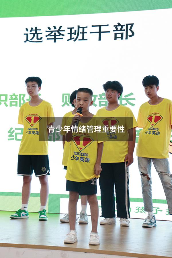 青少年情绪管理重要性