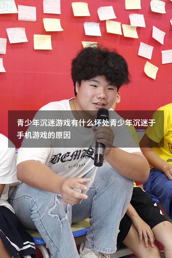 青少年沉迷游戏有什么坏处（青少年沉迷于手机游戏的原因）