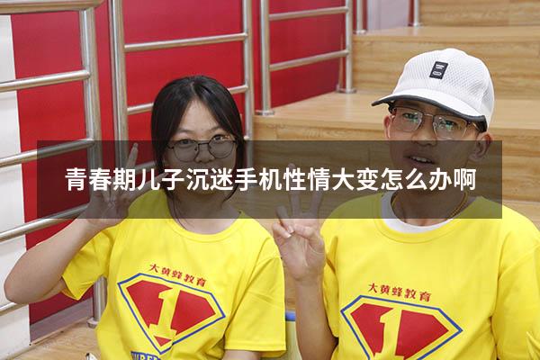 青春期儿子沉迷手机性情大变怎么办啊