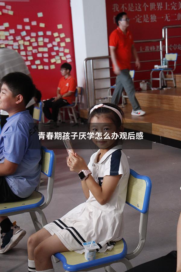 青春期孩子厌学怎么办观后感