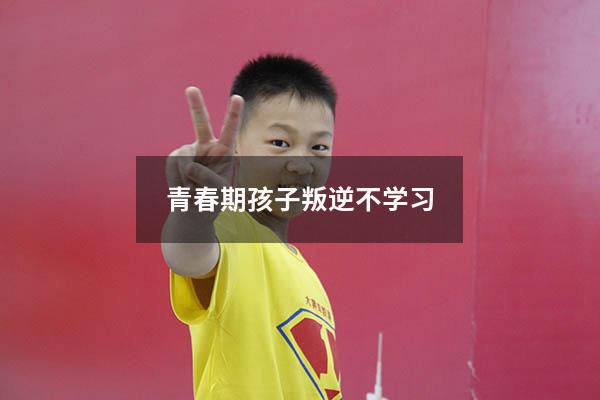 青春期孩子叛逆不学习