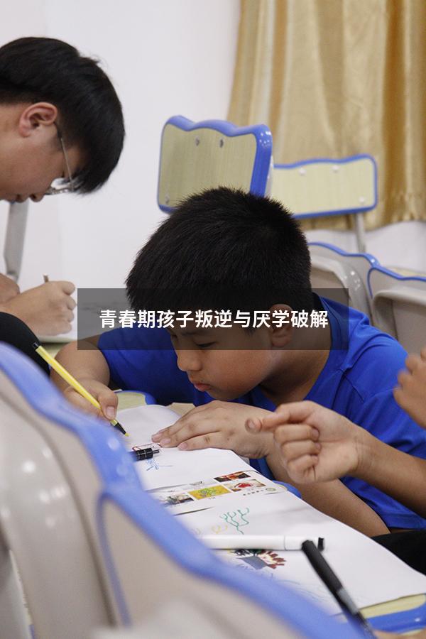 青春期孩子叛逆与厌学破解