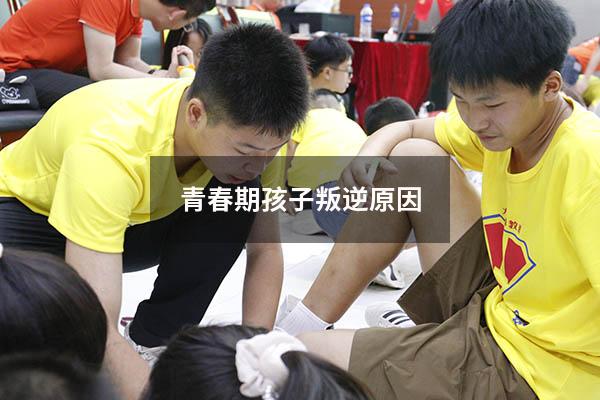 青春期孩子叛逆原因