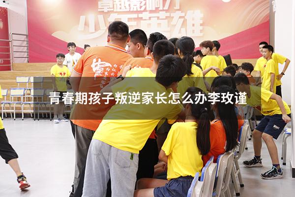 青春期孩子叛逆家长怎么办李玫谨