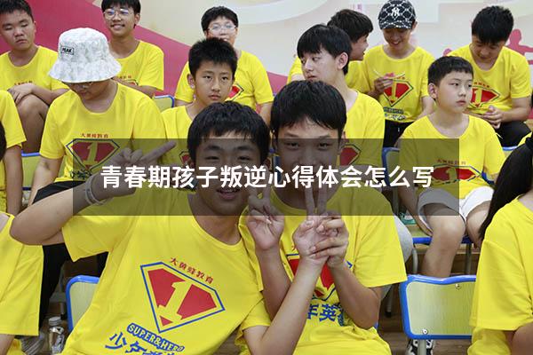 青春期孩子叛逆心得体会怎么写