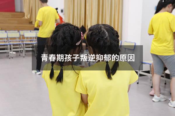 青春期孩子叛逆抑郁的原因