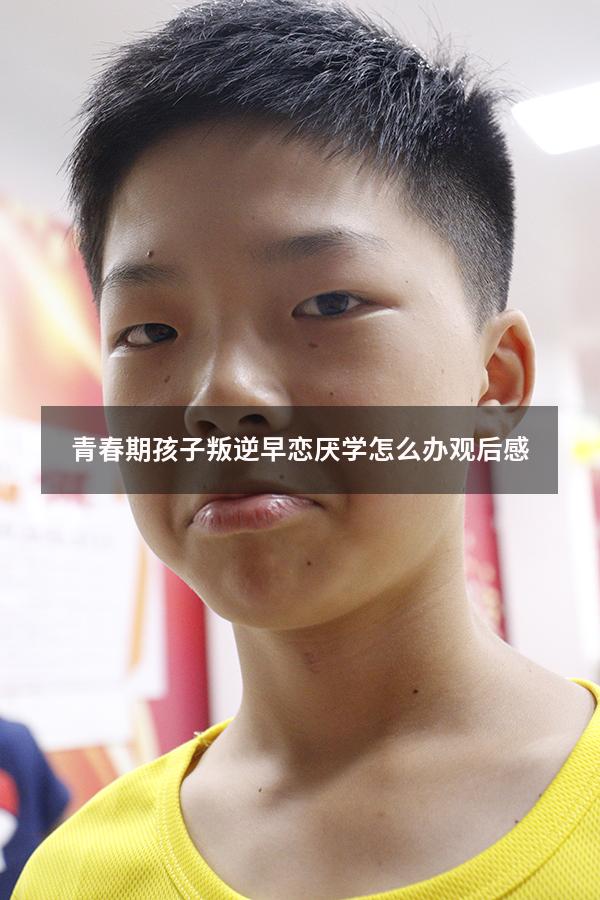 青春期孩子叛逆早恋厌学怎么办观后感