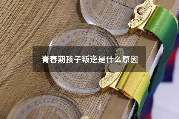 青春期孩子叛逆是什么原因