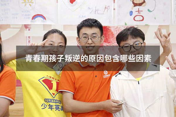 青春期孩子叛逆的原因包含哪些因素