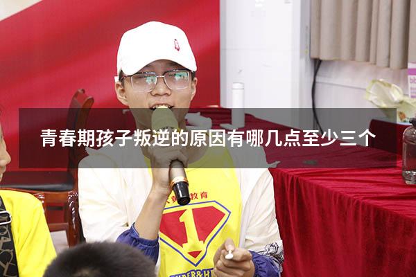 青春期孩子叛逆的原因有哪几点至少三个