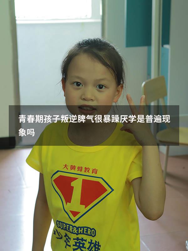 青春期孩子叛逆脾气很暴躁厌学是普遍现象吗