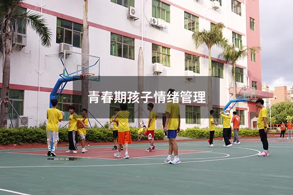 青春期孩子情绪管理2143