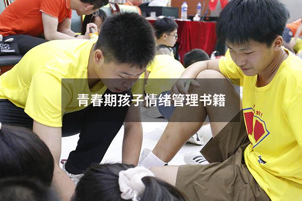 青春期孩子情绪管理书籍