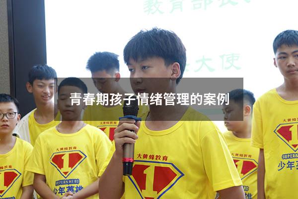 青春期孩子情绪管理的案例