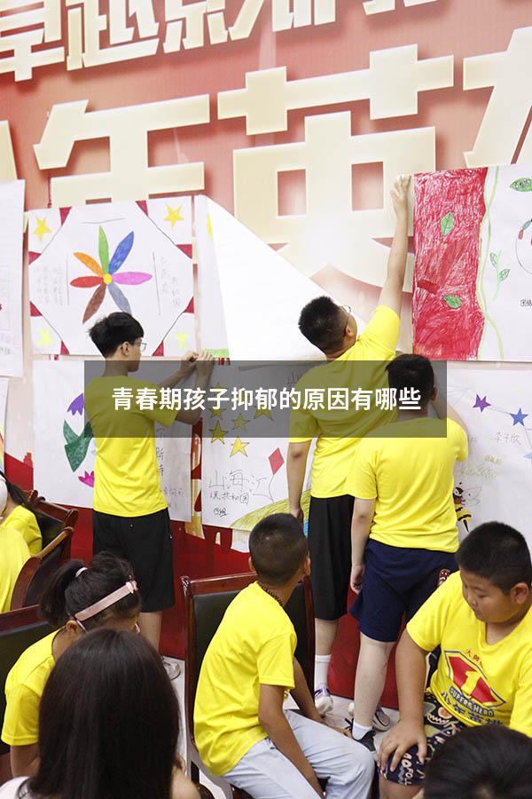 青春期孩子抑郁的原因有哪些